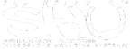 logo KELLY SHU