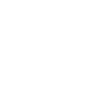 logo YANAGISAWA