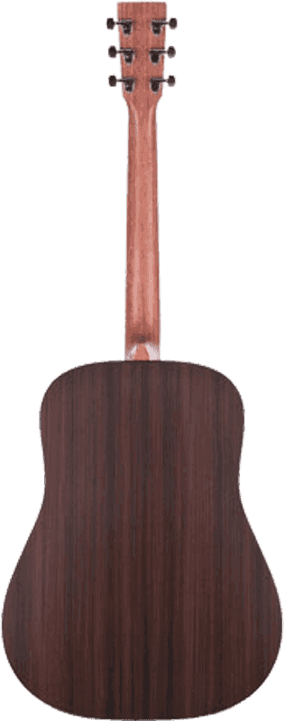 Dreadnought Cut Epicéa Sitka/Paliss HPL DCX1RAE