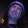 Phil CAMPBELL