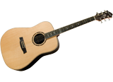 image GUITARES ACOUSTIQUES