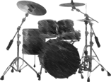 image Standard