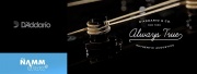 D'Addario va encore plus loin