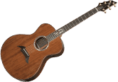 image GUITARES ACOUSTIQUES