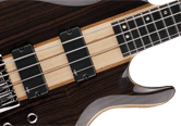 image BASSES STANDARD