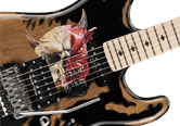 image GUITARES SIGNATURE