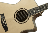 image GUITARES ACOUSTIQUES