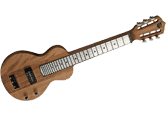 image LAP STEEL