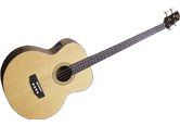 image BASSES ACOUSTIQUES