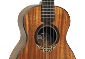 image UKULELE