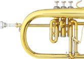 image BUGLE
