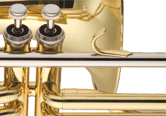 Trombones