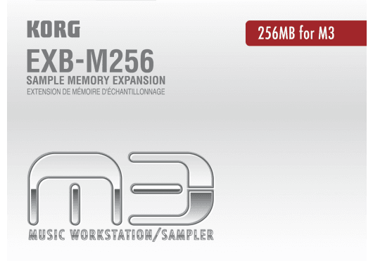 KOO EXB-M256 256 Mo de mémoire