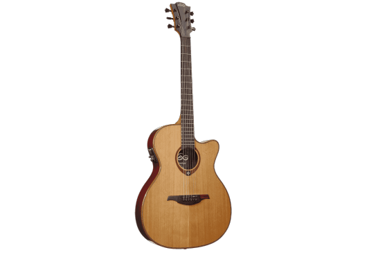 Auditorium Slim Cutaway Electro