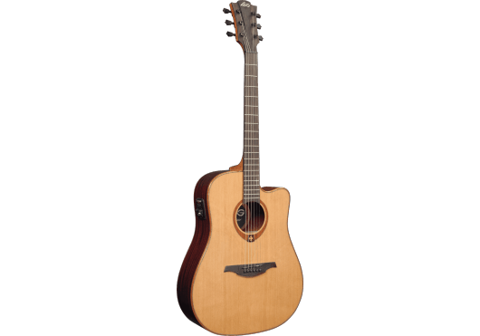 Dreadnought Cutaway Electro