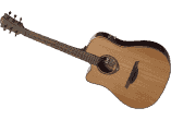 Gaucher ctw electro nat