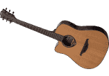 Gaucher ctw Electro Nat Satin