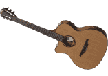 Gaucher ctw Electro Nat Satin