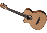 Gaucher Ctw Electro Naturel