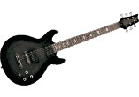 Black Shadow
