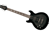 Gaucher Black Shadow