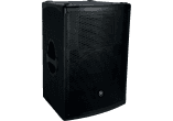 2 voies 250W RMS 12" photo 2 voies 250W RMS 12"