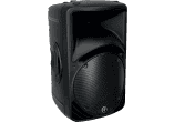 2 voies 500W RMS 12" photo 2 voies 500W RMS 12"