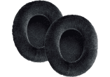 JSH HPAEC940