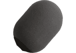 SSF A81WS
