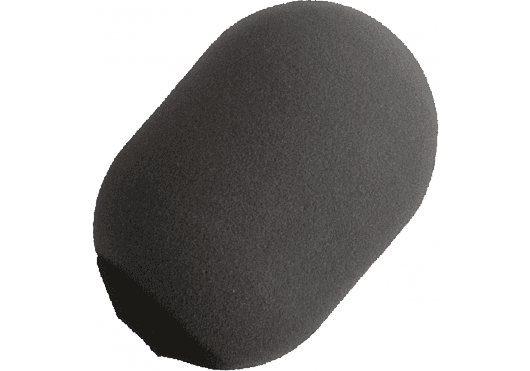 SSF A81WS Grande Taille Pour SM81