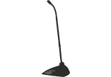 30cm - Sans capsule - Sur socle