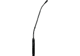 30Cm - Sans Capsule - Avec Inter