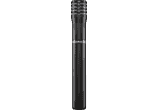 Statique cardioïde SM94